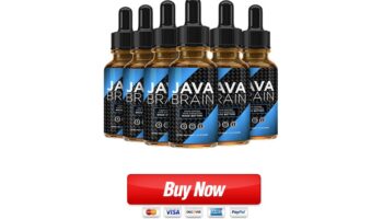 Java Brain buy now