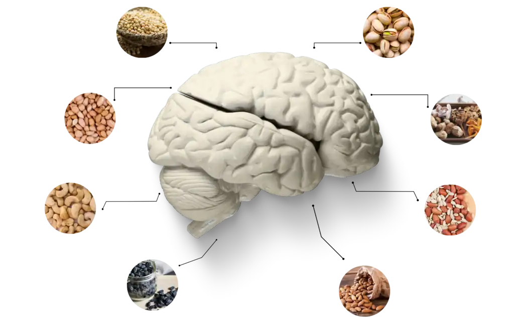 Neuroxen Brain Ingredients Phone-7fb00479