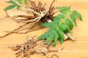 Valerian root