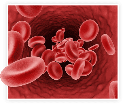 healthy blood flow