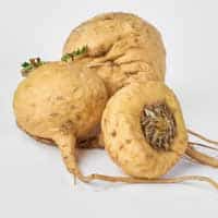i-maca