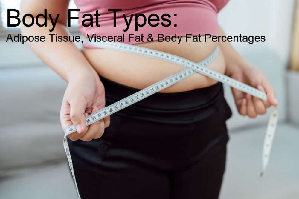 Body Fat Types: Adipose Tissue, Visceral Fat & Body Fat Percentages