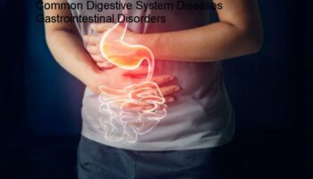 Common Digestive System Diseases and Gastrointestinal Disorders