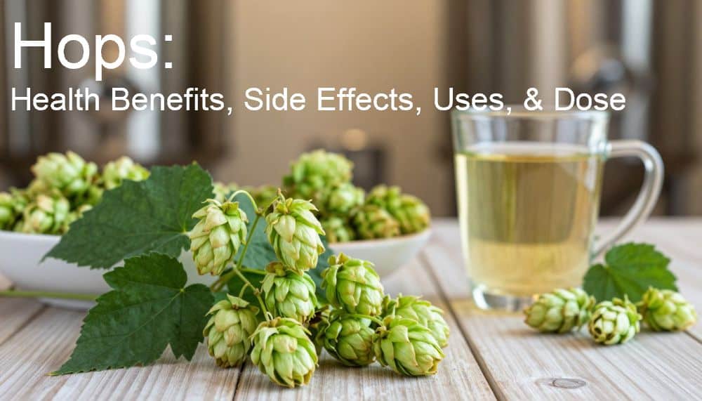 Hops: Health Benefits, Side Effects, Uses, & Dose