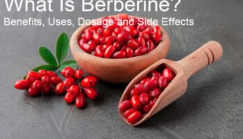 What Is Berberine? Benefits, Uses, Dosage and Side Effects