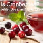 What Is Cranberries? Health Benefits, Uses, and Side Effects