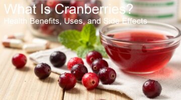 What Is Cranberries? Health Benefits, Uses, and Side Effects
