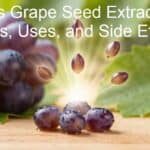 What Is Grape Seed Extract? Benefits, Uses, and Side Effects