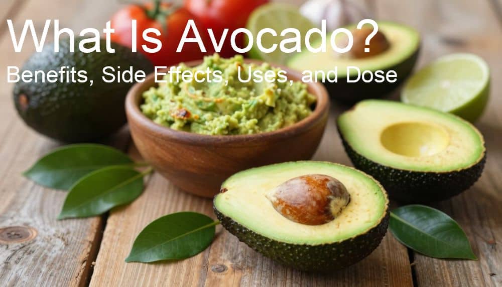 What Is Avocado? Benefits, Side Effects, Uses, and Dose