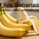 What Are Bananas? Benefits, Nutrition, Uses, and Side Effects