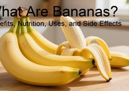 What Are Bananas? Benefits, Nutrition, Uses, and Side Effects