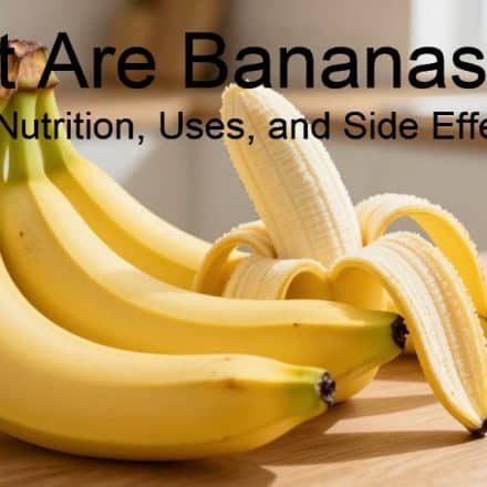 What Are Bananas? Benefits, Nutrition, Uses, and Side Effects
