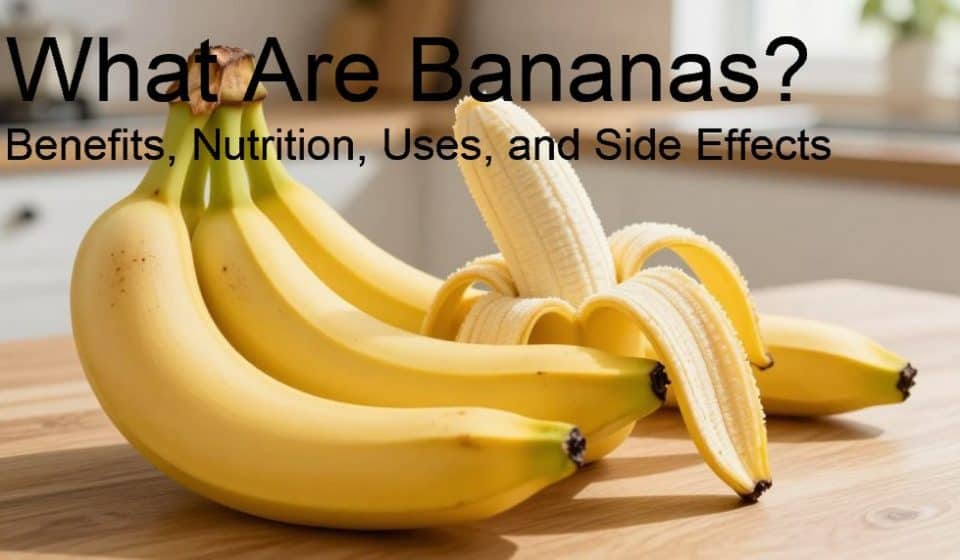What Are Bananas? Benefits, Nutrition, Uses, and Side Effects