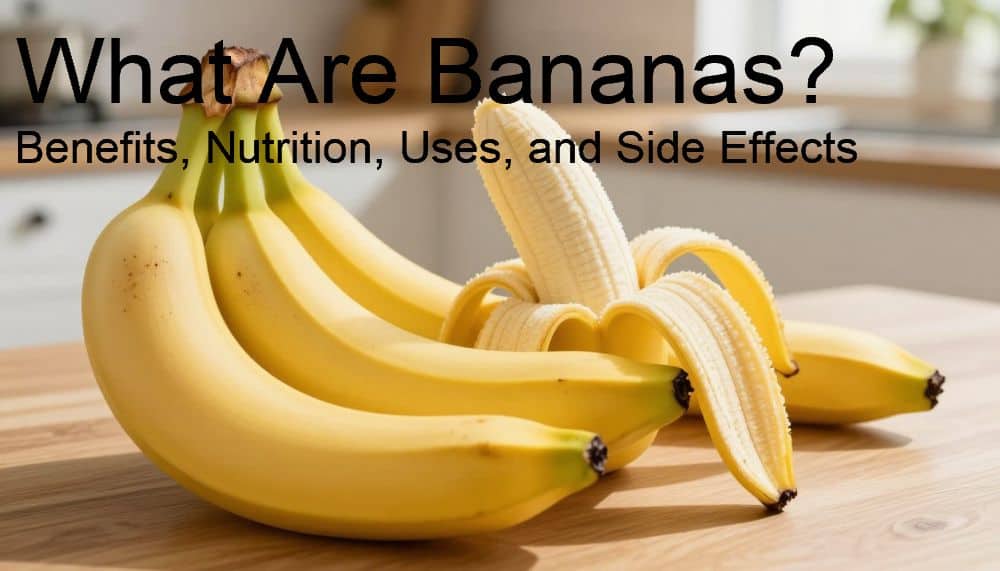 What Are Bananas? Benefits, Nutrition, Uses, and Side Effects
