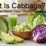 What Is Cabbage? Benefits, Side Effects, Uses, Dose & Precautions