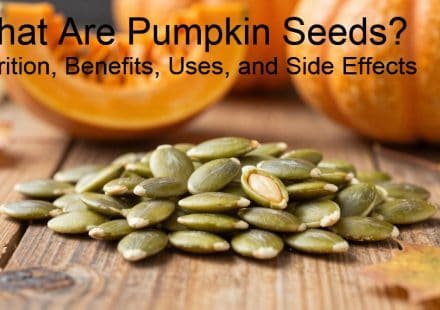 What Are Pumpkin Seeds? Nutrition, Benefits, Uses, and Side Effects
