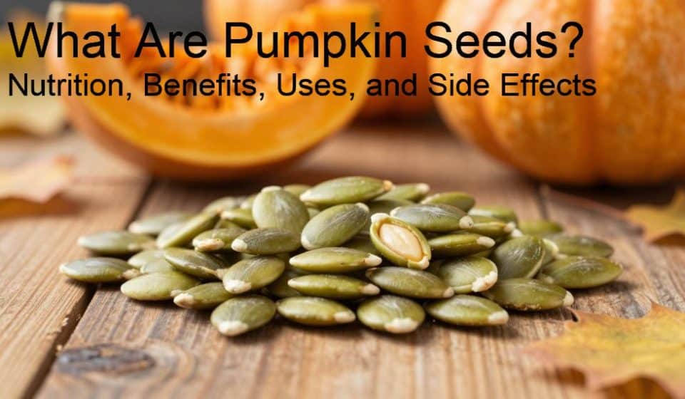 What Are Pumpkin Seeds? Nutrition, Benefits, Uses, and Side Effects